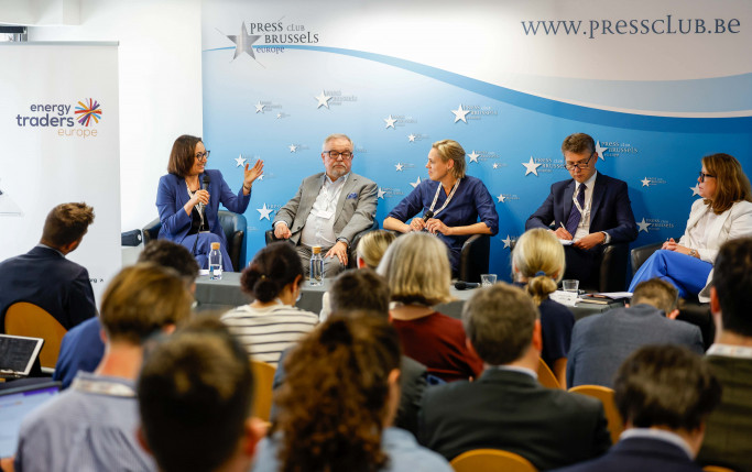 Unlocking the potential of the Energy Union: A Path to Affordable Energy